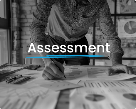 Assessment
